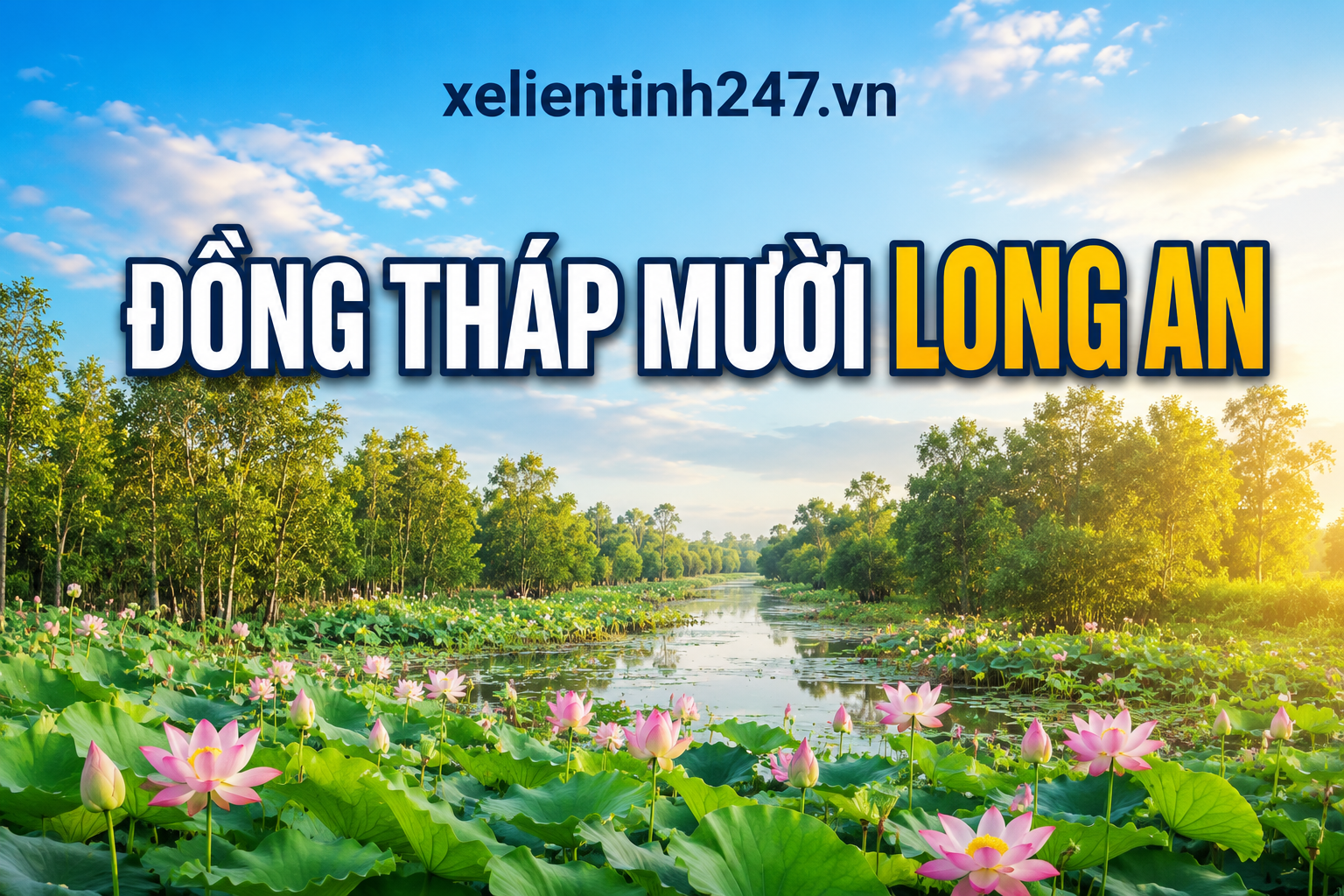Ảnh minh họa Đồng Tháp Mười Long An