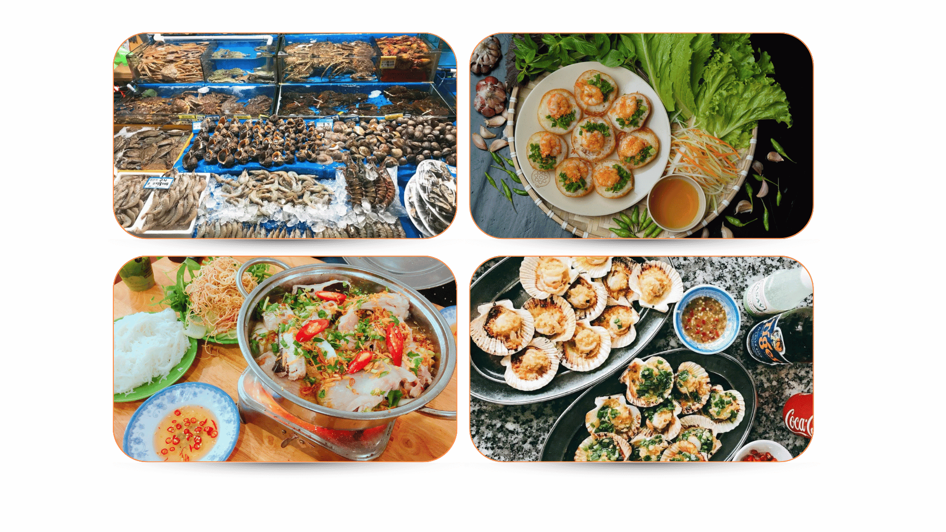 Ẩm Thực Hồ Tràm