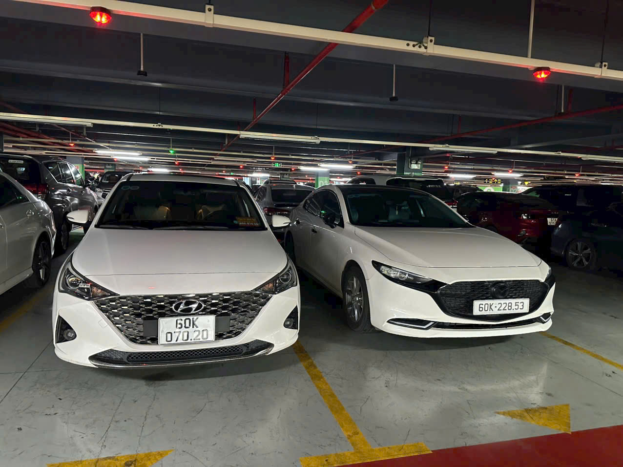 Xe 4 chỗ - Sedan & SUV