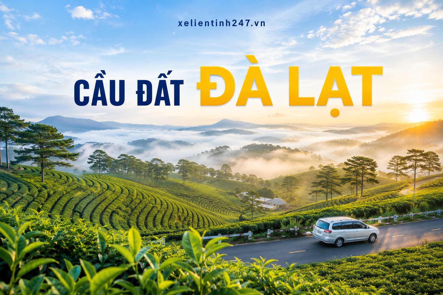 Cầu Đất Đà Lạt, đồi chè và điểm săn mây nổi bật