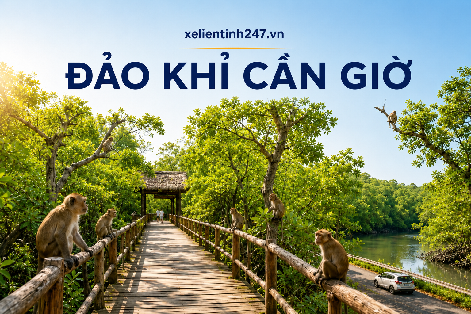 Ảnh minh họa Đảo Khỉ Cần Giờ.