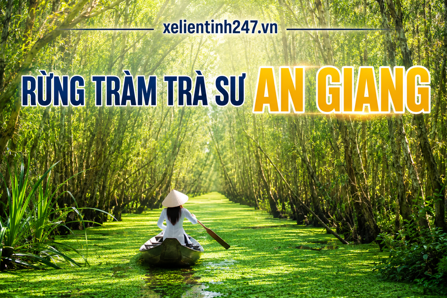 Rừng tràm Trà Sư An Giang, điểm du lịch sinh thái nổi bật