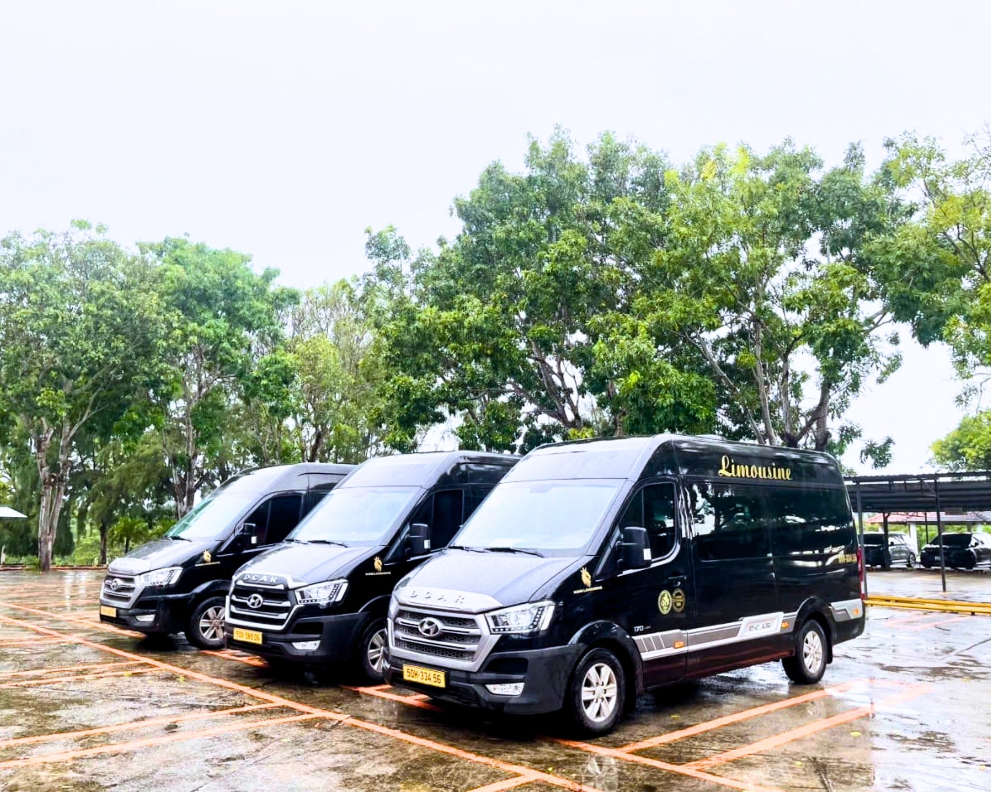 Đội xe limousine Xe Liên Tỉnh 247